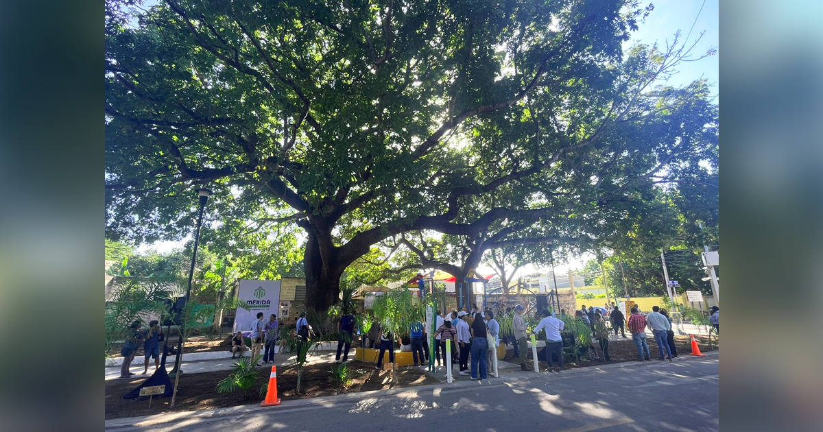 Merida arbol